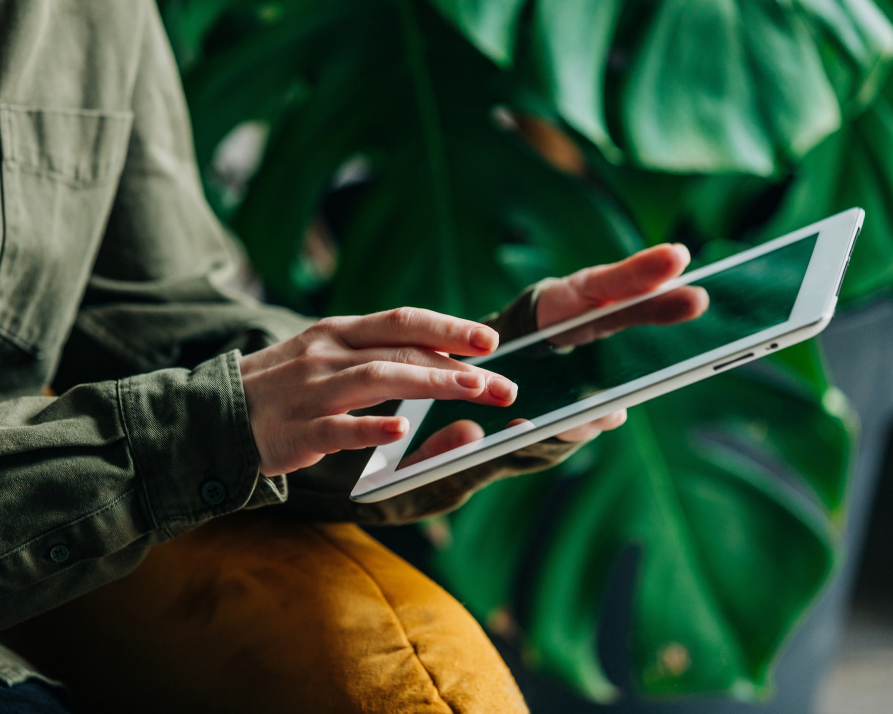 Um close de alguém usando um tablet com uma planta ao fundo