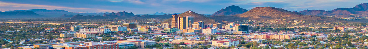 Universidade do Arizona